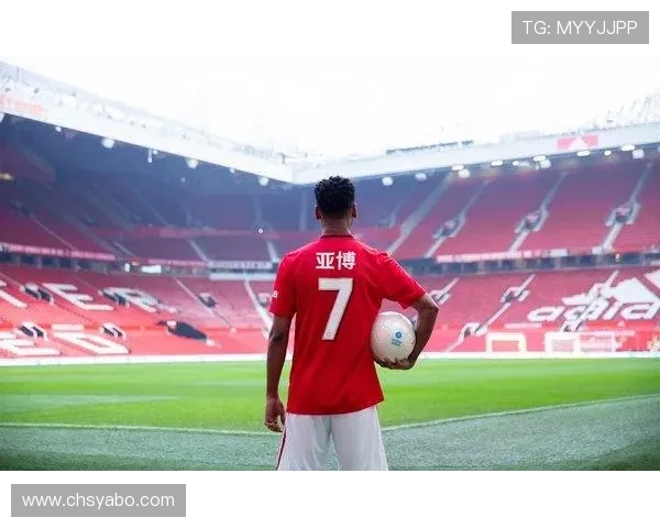 亚博体育真人版会员注册后如何进行账号优化与安全维护，提升你的会员体验质量