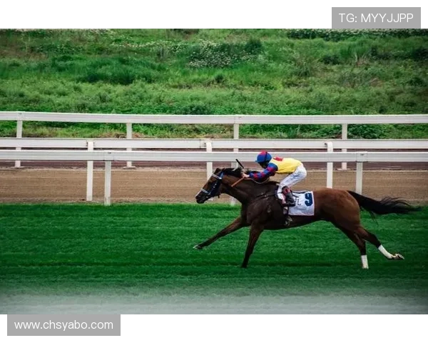 亚博YB平台官网体育博彩项目全面介绍与玩法技巧