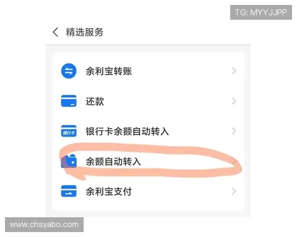 亚博全球：详解其多币种支付系统与快速提现的操作流程