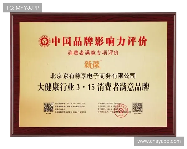 yabo游戏平台的合作伙伴与品牌背书，增强平台的可信度与影响力